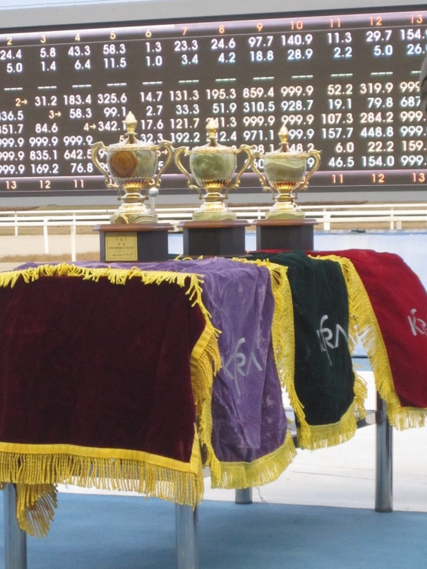 The President's Cup is one of the most valuable races in the Korean racing year