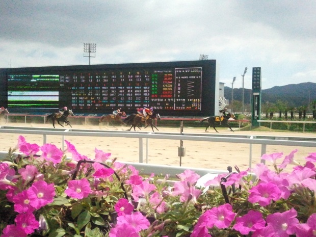 The big race of the weekend is at Busan