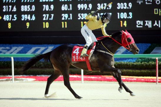 Gyeongudaero, seen here winning the KRA Cup Mile as a 3-year-old, heads the Busan Ilbo line-up(KRA)
