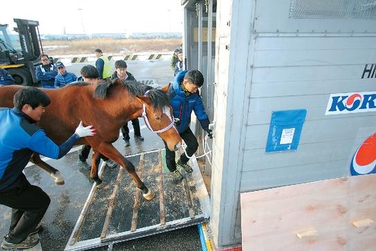 Seoul Bullet on his way to the USA last year (KRA)