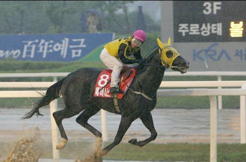 Ebony Storm wins the 2008 Derby in a downpour (KRA)