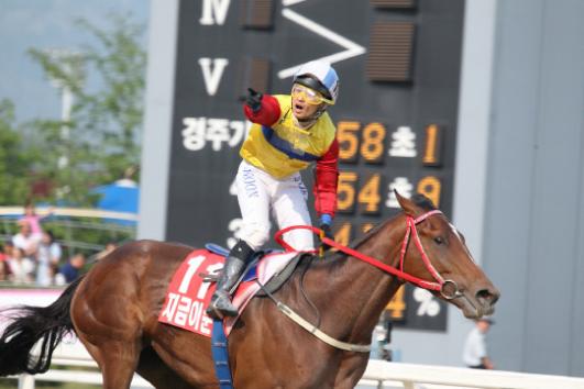 Jigeum I Sungan was the 2012 Korean Derby winner (KRA)