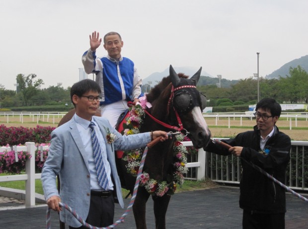 Cheonnyeon Dongan won the Donga Ilboin 2013 with the now retired Cho Kyoung Ho on board