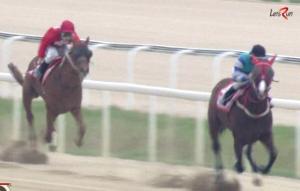 Gamdonguibada leads New York Blue in the home straight (screengrab - better picture to follow)