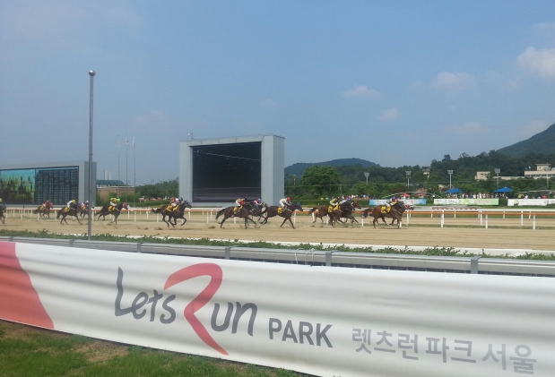 Let's Run! And we are running this week, albeit not much at Seoul