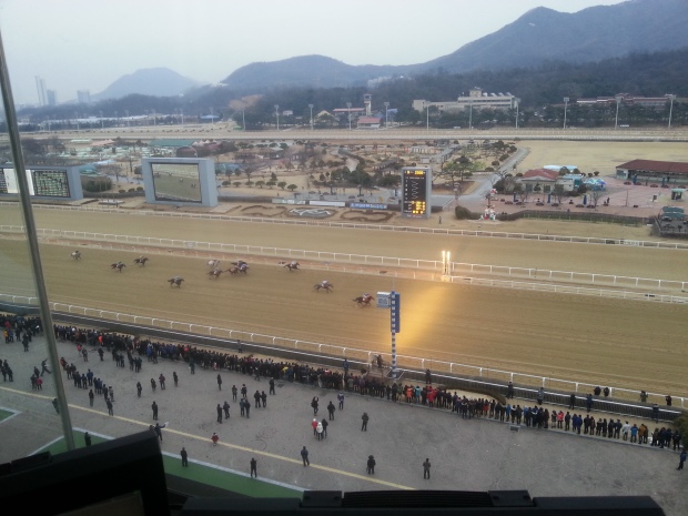 The view from above as Gyeongbudaero wins the Grand Prix Stakes