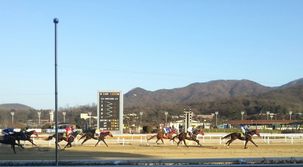 Gwanggyo Bisang was an easy winner of the Segye Ilbo Cup at Seoul on Sunday