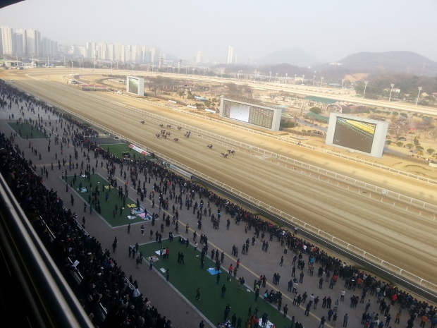 Seoul hosts the final filly & mare Stakes race of the season on Sunday