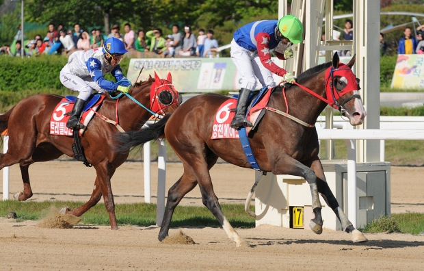 Yeongcheon Ace led Triple Nine home in the Derby (Pic: Ross Holburt)