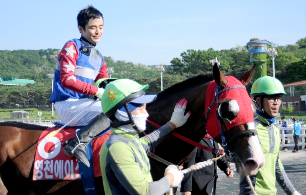 Choi Si Dae and Yeongcheon Ace return to the unsaddling area after winning the Derby (Pic: Slickpix)