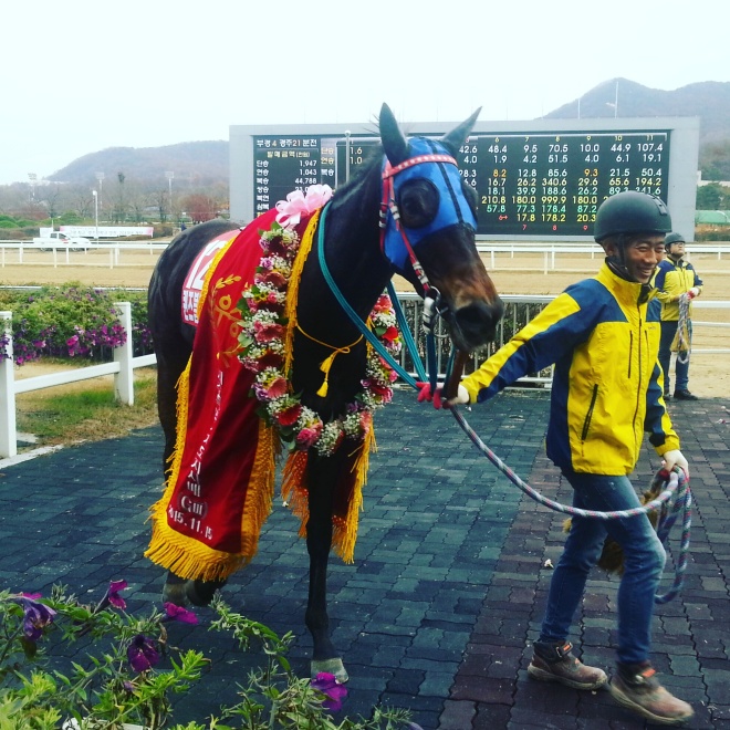 Queen's Blade in the Jeju Governor's Cup winner's circle